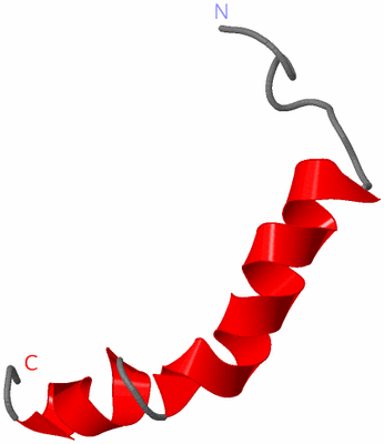 Image NMR Structure - model 1