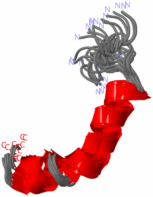 Image NMR Structure - all models