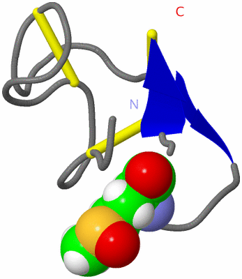 Image NMR Structure - model 1