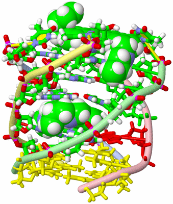 Image NMR Structure - model 1, sites