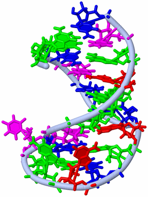 Image NMR Structure - model 1