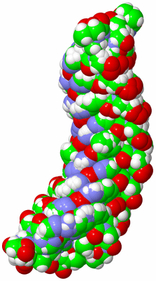 Image NMR Structure - all models