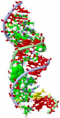 Image NMR Structure - model 1, sites