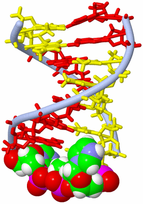 Image NMR Structure - model 1