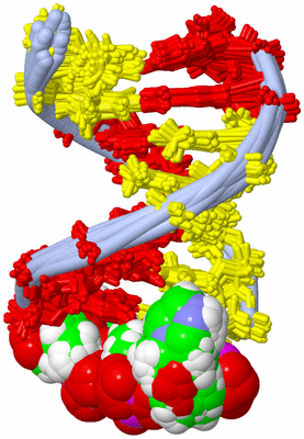 Image NMR Structure - all models