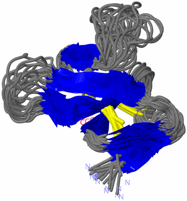 Image NMR Structure - all models