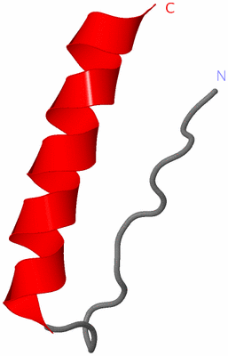 Image NMR Structure - model 1