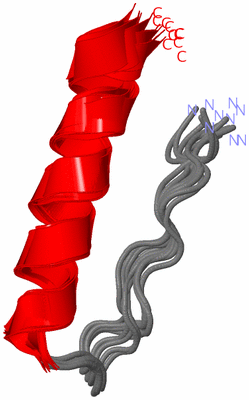 Image NMR Structure - all models