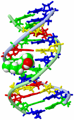 Image NMR Structure - model 1