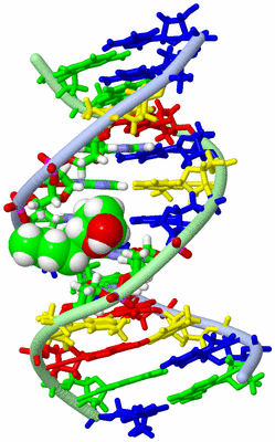 Image NMR Structure - model 1, sites