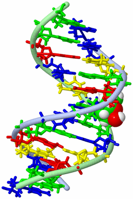 Image NMR Structure - model 1