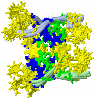 Image NMR Structure - all models