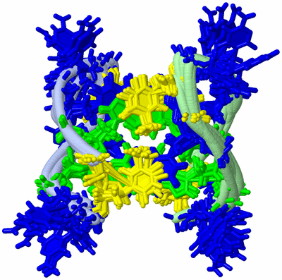 Image NMR Structure - all models