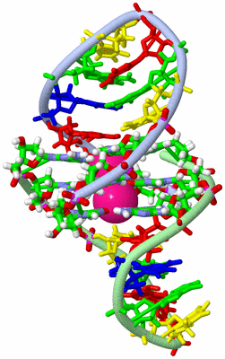 Image NMR Structure - model 1, sites