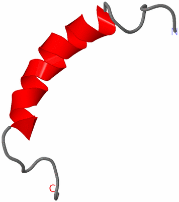 Image NMR Structure - model 1