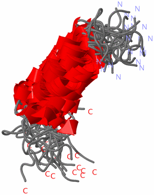 Image NMR Structure - all models