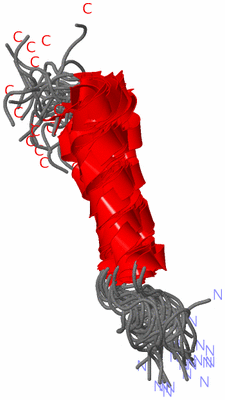 Image NMR Structure - all models