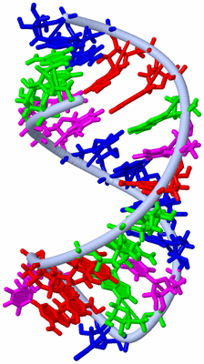 Image NMR Structure - model 1