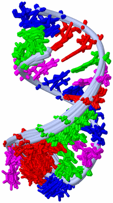 Image NMR Structure - all models