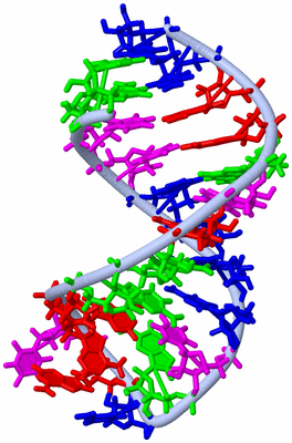 Image NMR Structure - model 1