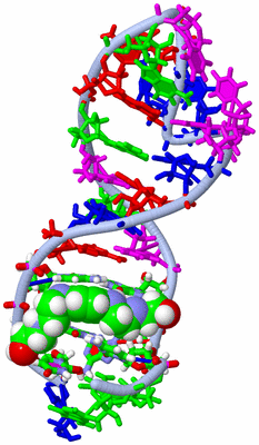 Image NMR Structure - model 1, sites