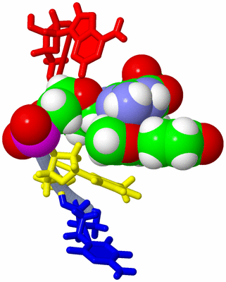 Image NMR Structure - model 1