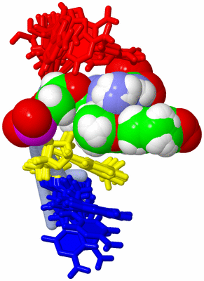 Image NMR Structure - all models