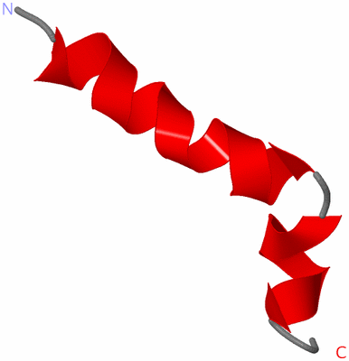 Image NMR Structure - model 1