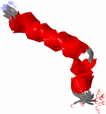 Image NMR Structure - all models