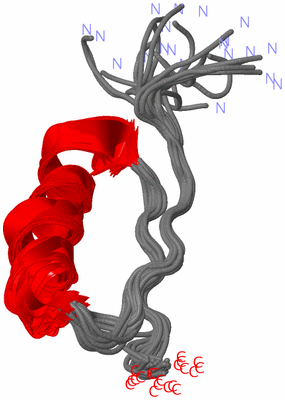 Image NMR Structure - all models