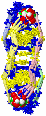 Image NMR Structure - all models