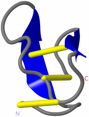 Image NMR Structure - model 1