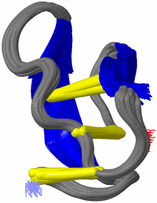 Image NMR Structure - all models