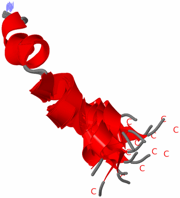 Image NMR Structure - all models