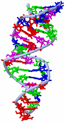 Image NMR Structure - model 1