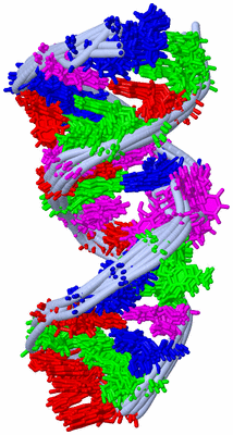 Image NMR Structure - all models