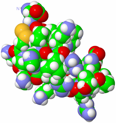 Image NMR Structure - model 1