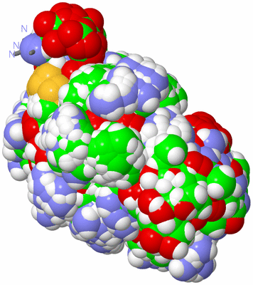 Image NMR Structure - all models