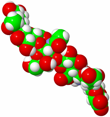 Image NMR Structure - model 1