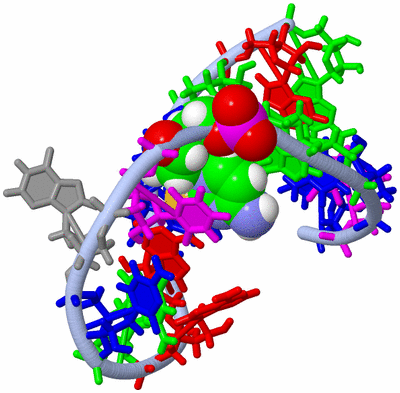 Image NMR Structure - model 1