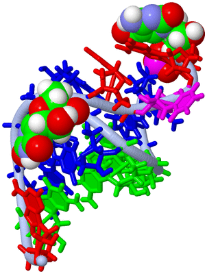 Image NMR Structure - model 1