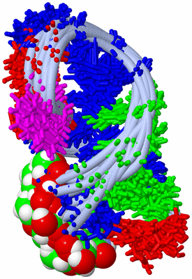 Image NMR Structure - all models