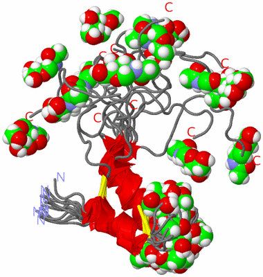 Image NMR Structure - all models