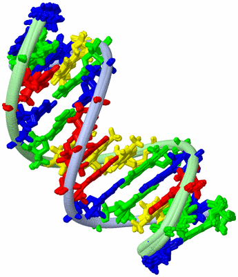 Image NMR Structure - all models