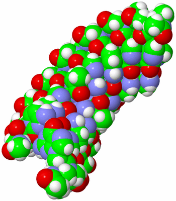 Image NMR Structure - model 1