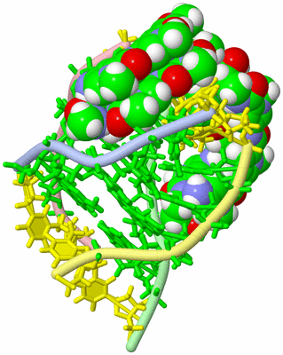 Image NMR Structure - model 1