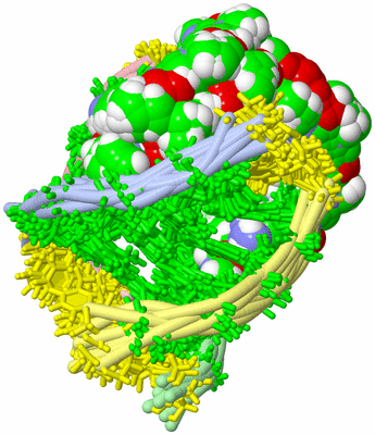 Image NMR Structure - all models