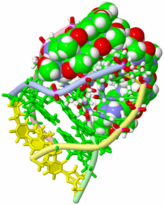 Image NMR Structure - model 1, sites