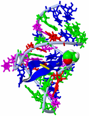 Image NMR Structure - model 1