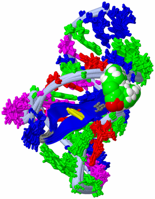 Image NMR Structure - all models